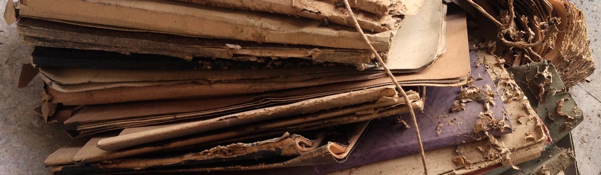 Bestände und Verbleib