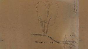 Absicherung_Ufer